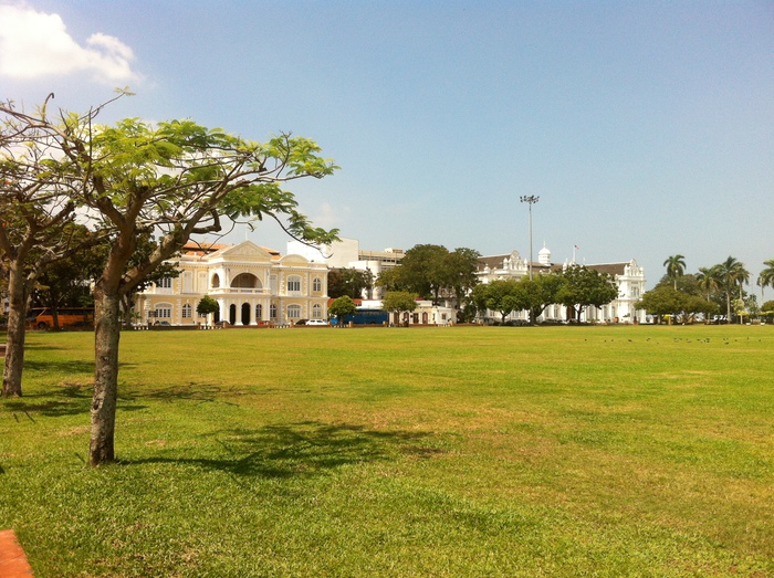 grass_700.jpg